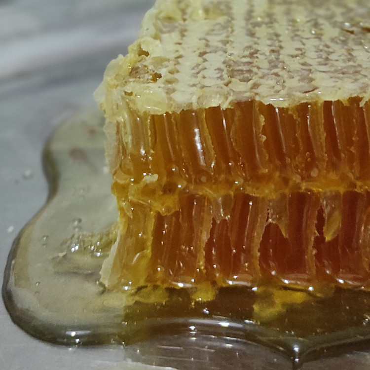 عسل مومدار کوهی مارال حاصل شهد گل گون و آویشن مناطق ییلاقی خلخال